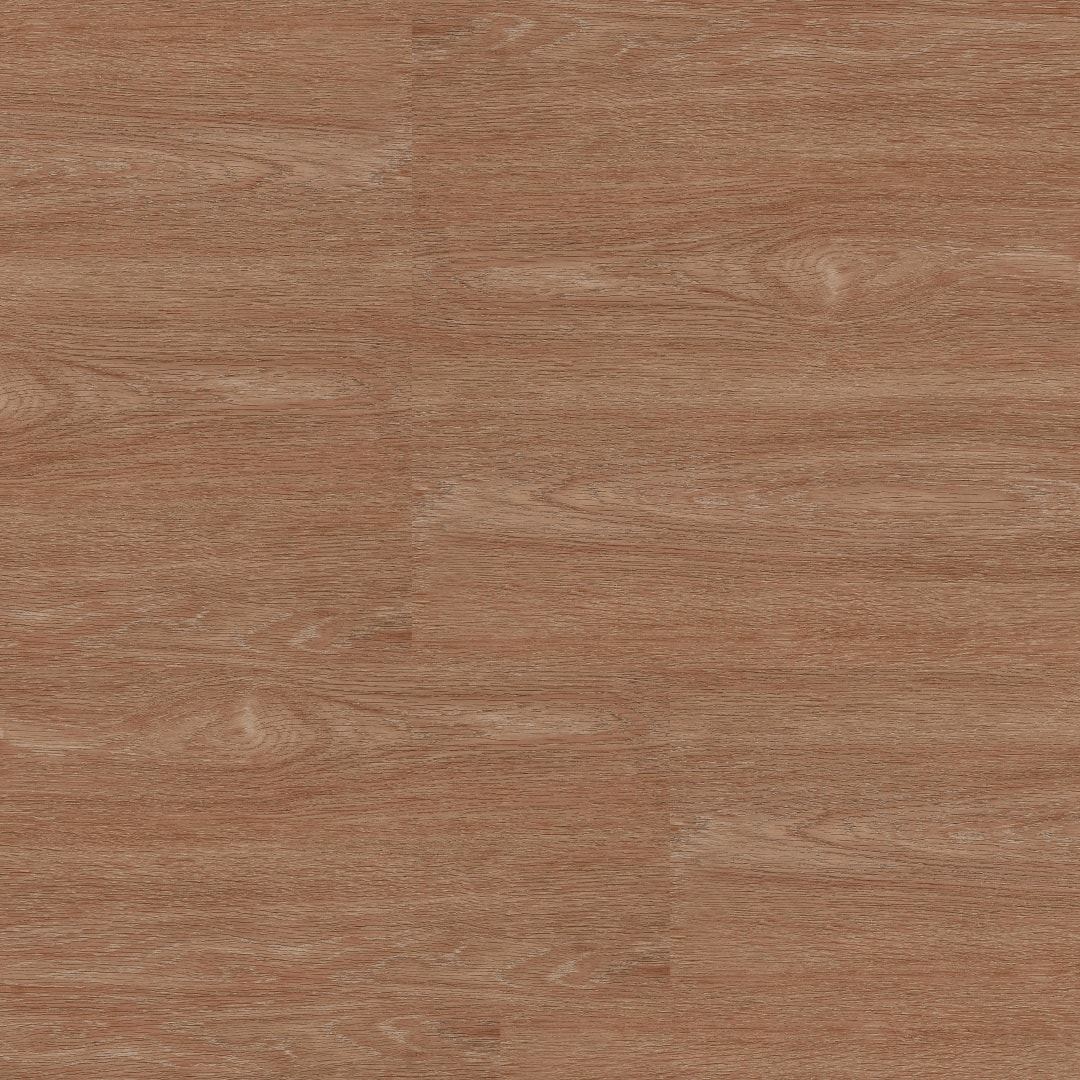 Amostra R37522