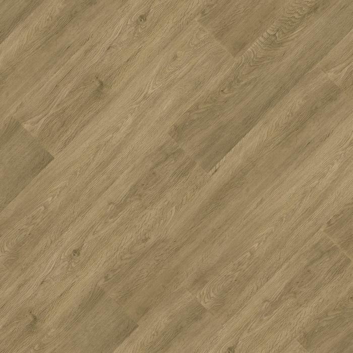 Faia — 24176676