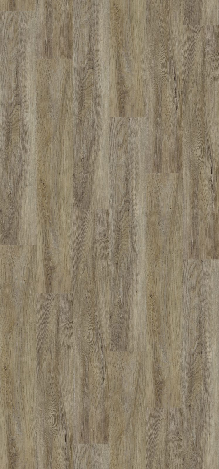 Menta — 24895345